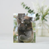 Carte Postale Maman et Baby Koala (Debout devant)