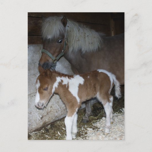 Carte Postale Maman et bébé (Devant)