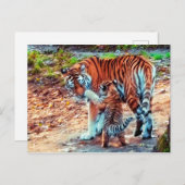 Carte Postale Maman et bébé tigre (Devant / Derrière)