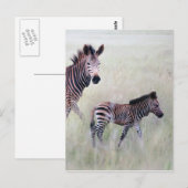 Carte Postale Maman et bébé Zebra (Devant / Derrière)