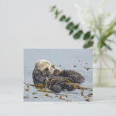 Carte Postale Maman et chiot de loutre de mer dormant (Debout devant)