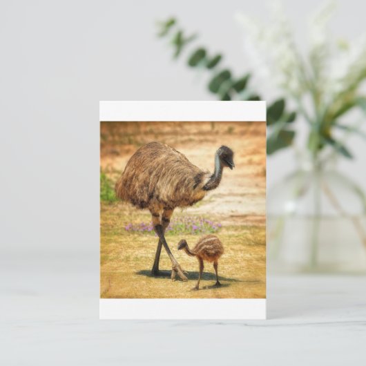 Carte Postale Maman garde un oeil sur son bébé (Debout devant)