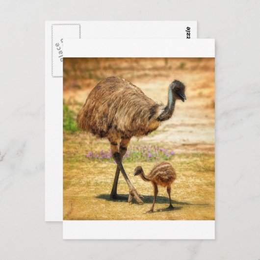 Carte Postale Maman garde un oeil sur son bébé (Devant / Derrière)