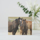 Carte Postale Maman n Me (Debout devant)