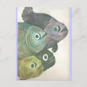 Carte Postale maman ne danse pas