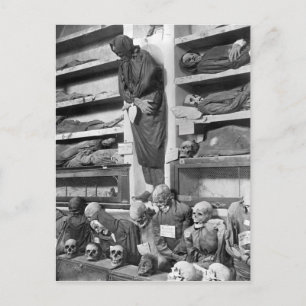 Carte Postale Mamans dans les catacombes de Palerme, Italie