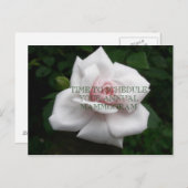 Carte Postale Mammogramme annuel (Devant / Derrière)