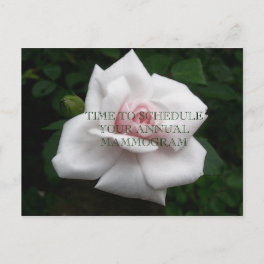 Carte Postale Mammogramme annuel (Devant)