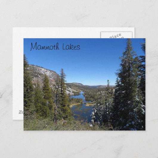 Carte Postale Mammoth (Devant / Derrière)