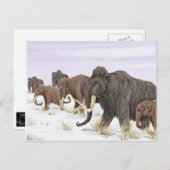 Carte postale Mammoth Family (Devant / Derrière)