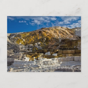 Carte Postale Mammoth Hot Spring