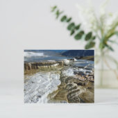 Carte Postale Mammoth Hot Springs, Parc national de Yellowstone, (Debout devant)