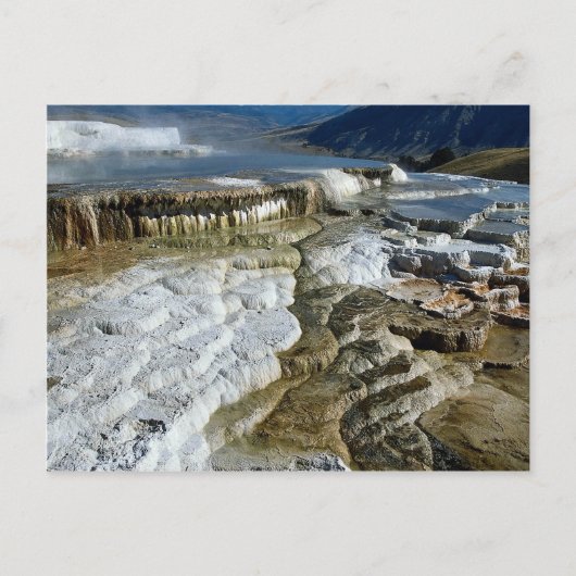 Carte Postale Mammoth Hot Springs, Parc national de Yellowstone, (Devant)