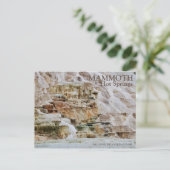 CARTE POSTALE MAMMOTH HOT SPRINGS, PARC NATIONAL YELLOWSTONE, WI (Debout devant)