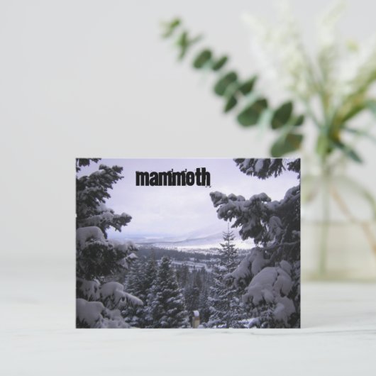 Carte Postale Mammoth Mountain (Debout devant)