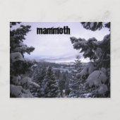 Carte Postale Mammoth Mountain (Devant)