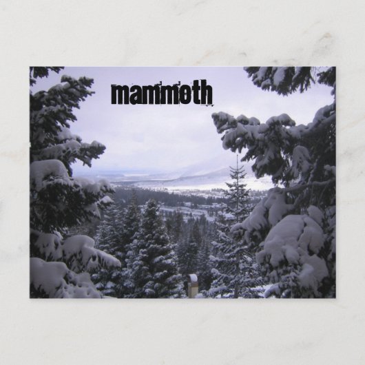 Carte Postale Mammoth Mountain (Devant)