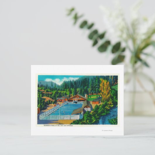 Carte Postale Mammoth Pool à Sol Duc Hot Springs (Debout devant)