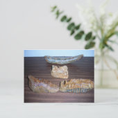 Carte Postale mammouth dents bout de défenses (Debout devant)