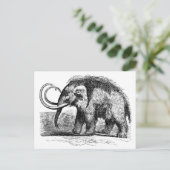 Carte Postale mammouth laineux-2 (Debout devant)