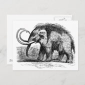 Carte Postale mammouth laineux-2 (Devant / Derrière)