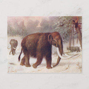Carte Postale Mammouth laineux Antique animale préhistorique Imp