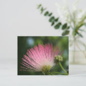 Carte Postale Mamosa (Debout devant)