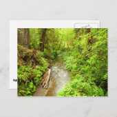 Carte Postale Man Creek II perdu dans le parc national Redwood (Devant / Derrière)