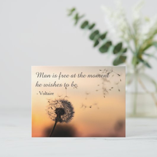 Carte Postale Man is Free Voltaire Quote (Debout devant)