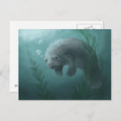 Carte postale Manatee (Devant / Derrière)