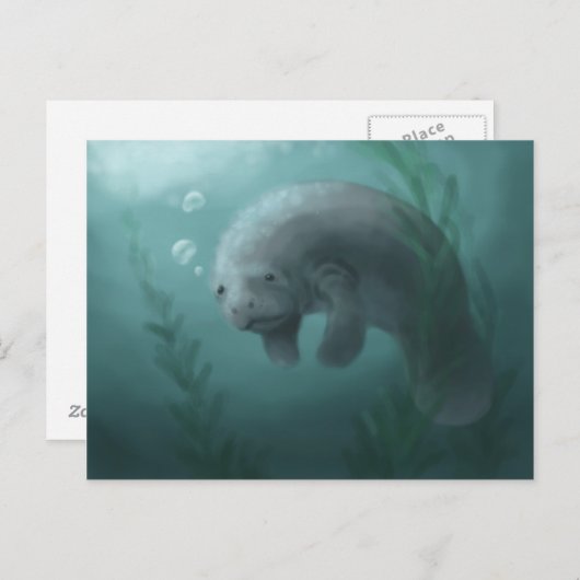 Carte postale Manatee (Devant / Derrière)