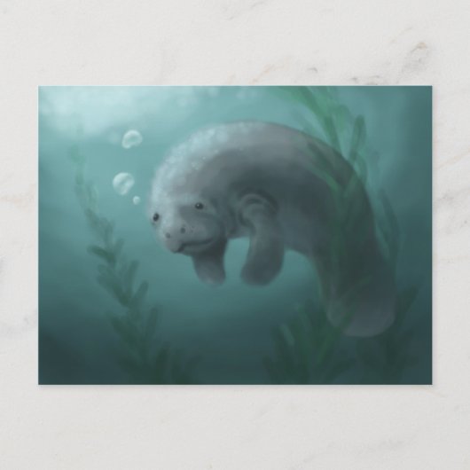 Carte postale Manatee (Devant)