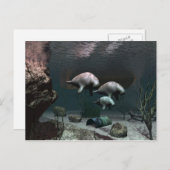 Carte postale Manatee (Devant / Derrière)