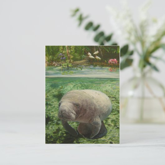 CARTE POSTALE MANATEE (Debout devant)