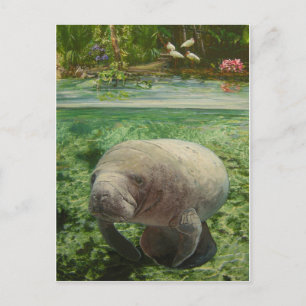 CARTE POSTALE MANATEE