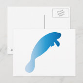 Carte postale Manatee (Devant / Derrière)