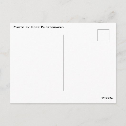 Carte Postale Manatee Crystal River Floride (Dos)