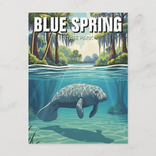 Carte Postale Manatee in Blue Spring State Park (Devant)