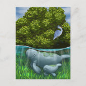 Carte Postale Manatee Mom and Calf (Devant)