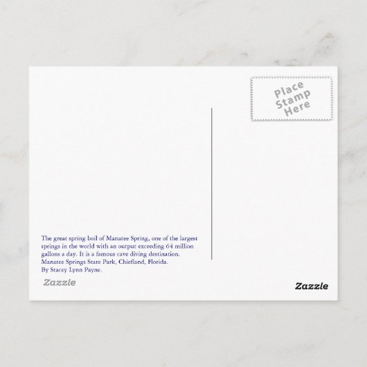 Carte postale Manatee Springs (Dos)