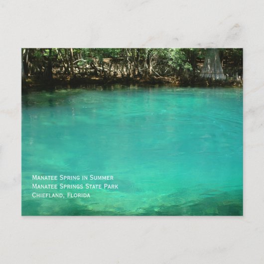 Carte postale Manatee Springs (Devant)