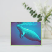 Carte Postale Manatee Surface pour respirer (Debout devant)