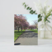 Carte Postale Manchester au printemps (Debout devant)