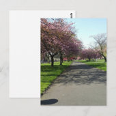 Carte Postale Manchester au printemps (Devant / Derrière)