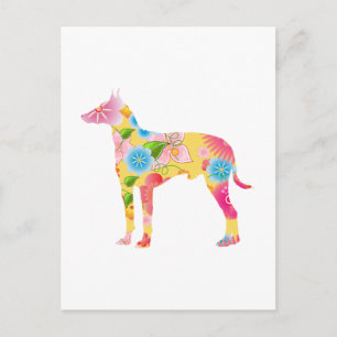 Carte Postale Manchester Terrier
