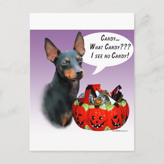 Carte Postale Manchester Terrier Halloween Candy (Devant)