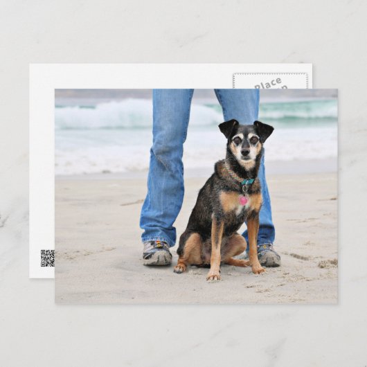 Carte Postale Manchester Terrier X - Jordanie - Derr (Devant / Derrière)