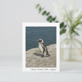 Carte Postale Manchot (Debout devant)