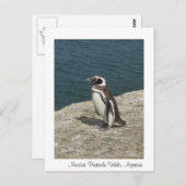 Carte Postale Manchot (Devant / Derrière)