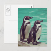 Carte Postale Manchots (Devant / Derrière)